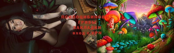 твердый Армянск