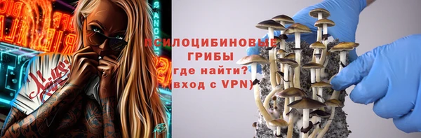мескалин Арсеньев